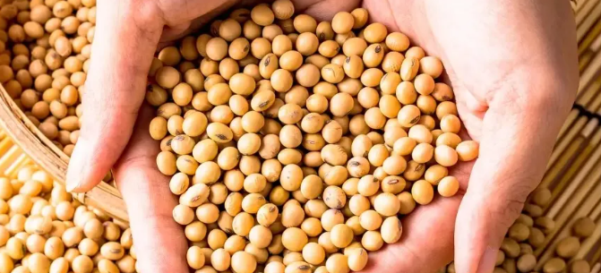 【政策分享】中国大豆加工行业产业政策梳理及发展