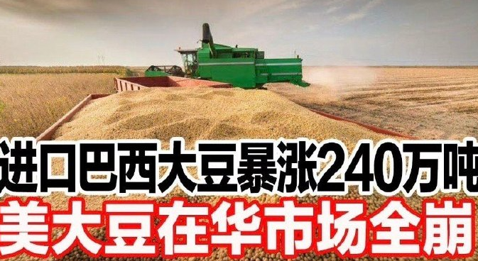 海关数据显示5月份中国大豆进口创新高，同比增长36%