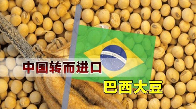 拍卖呼之欲出，豆价能否再进一步？