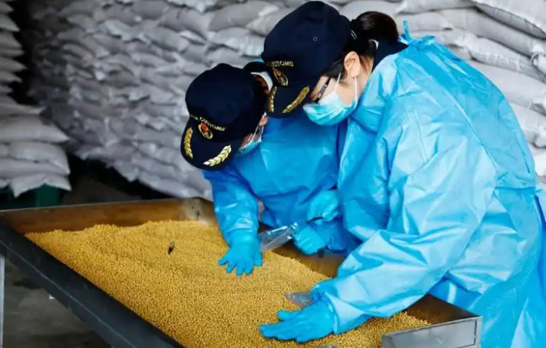 海关数据显示5月份中国大豆进口创新高，同比增长36%