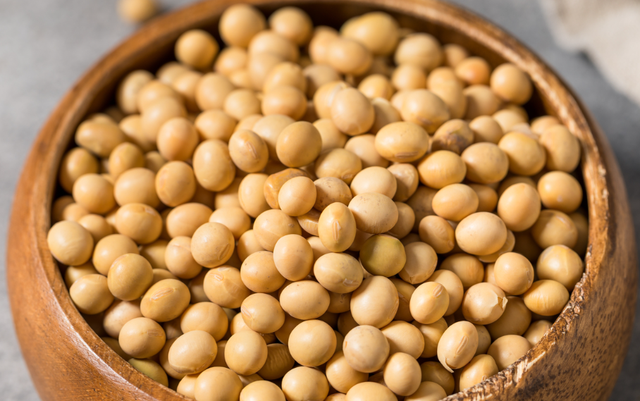 冻品与大豆深度融合，万亿新赛道崛起，大豆展会引领跨界新趋势